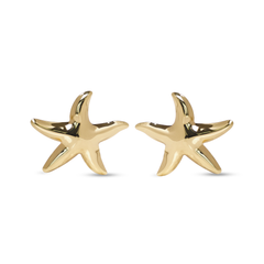 Coastal Gleam Starfish Studs